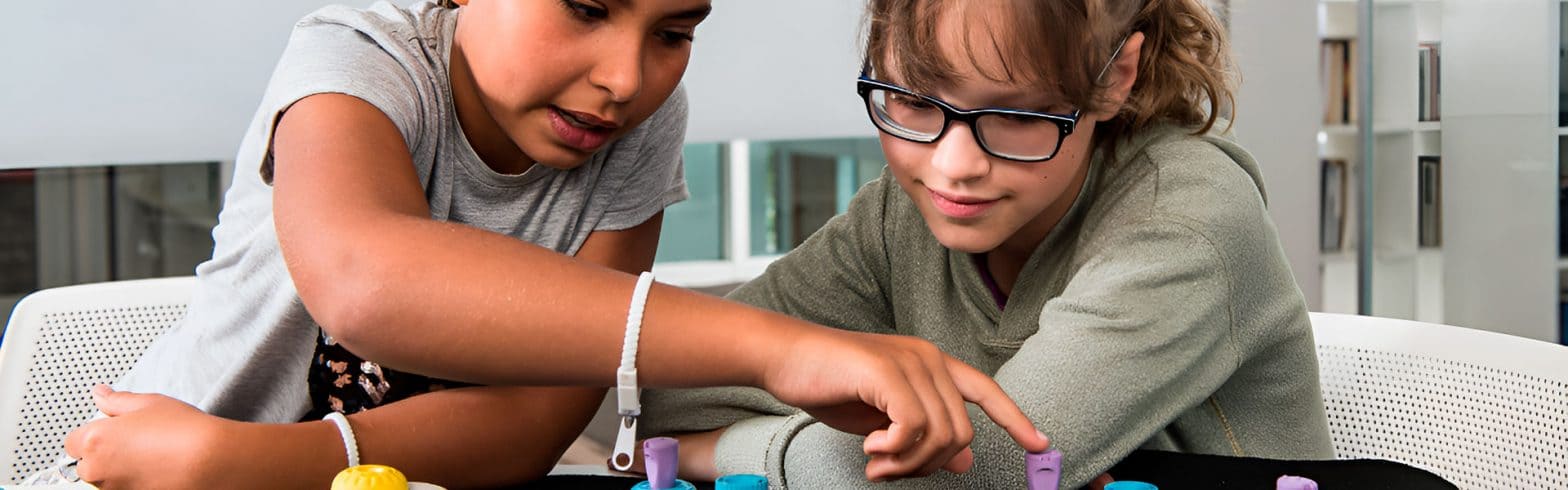 Visual Instructor Teachers for the Visually Impaired: Who Are They?