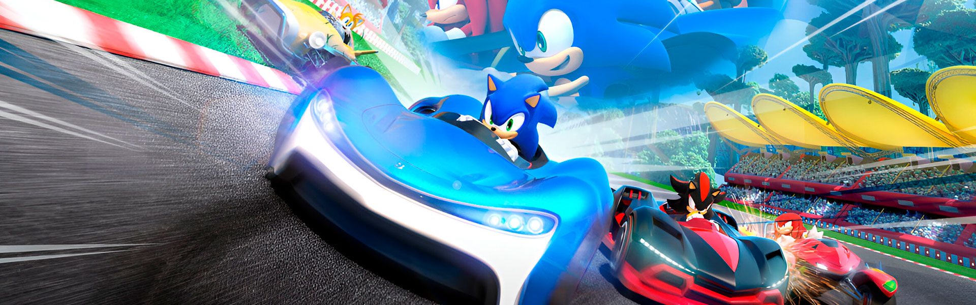 Arcade-Racing-Sonic-Zoom