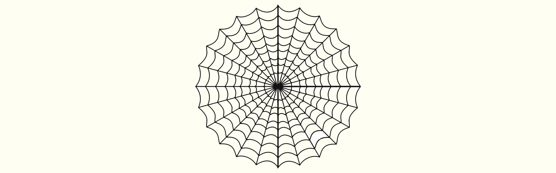 spider web