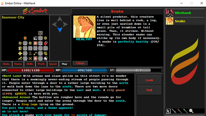 Avatar of the game Ember Online