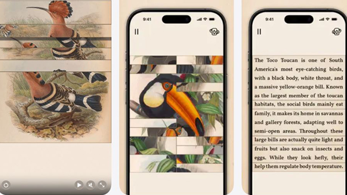 Avatar of the game Art of Fauna: Cozy Puzzles