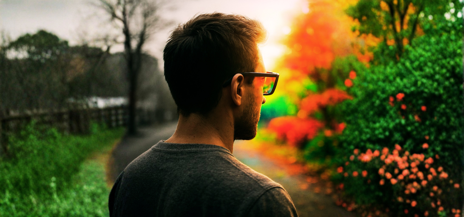 Glasses-That-Changed-Color-Perception