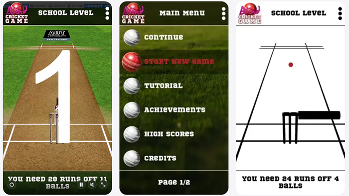 Avatar of the game Blind Cricket